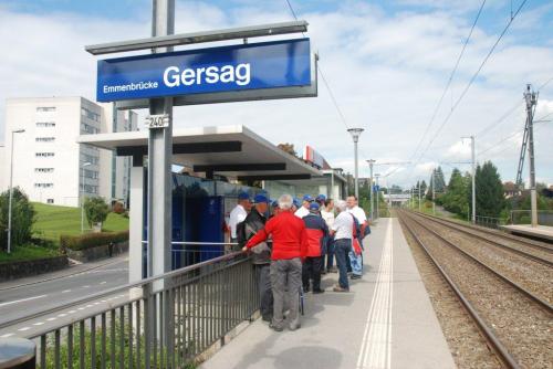Fuchsjagd 010