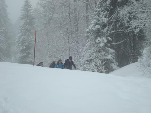 DSC05348