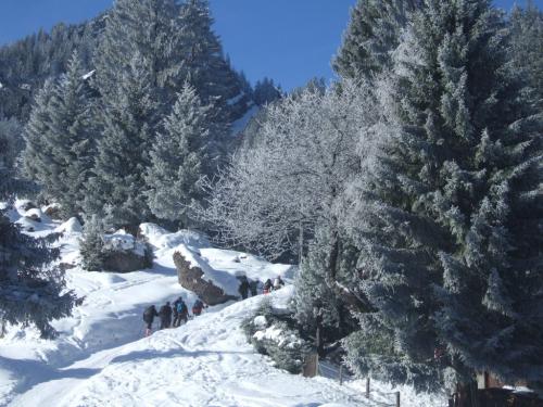 Schneeschuhwanderung-2013 (13)