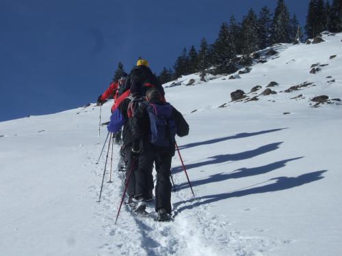 Schneeschuhwanderung-2013 (16)