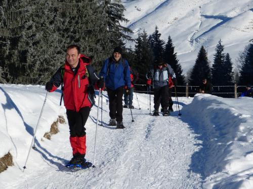 Schneeschuhwanderung-2013 (2)