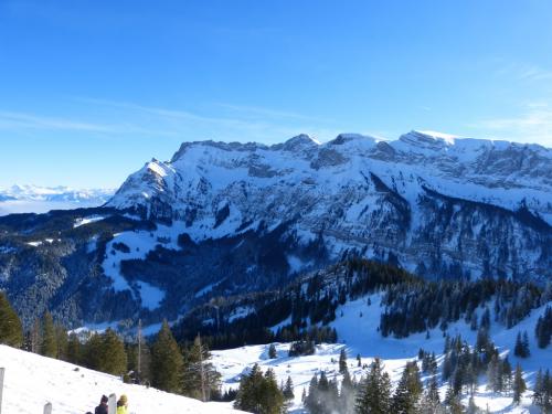 Schneeschuhwanderung-2013 (6)