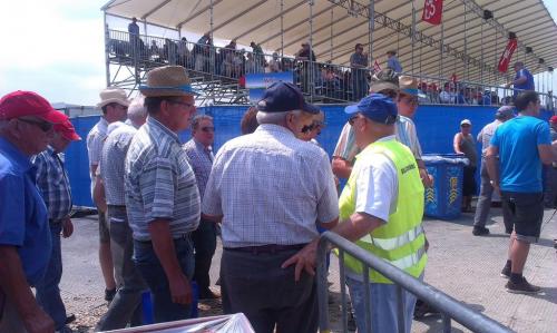Schwingfest (23)