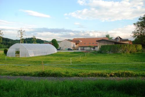Egoldswil-2014 (17)