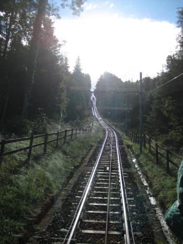 Herbstwanderung-Zugerberg  06