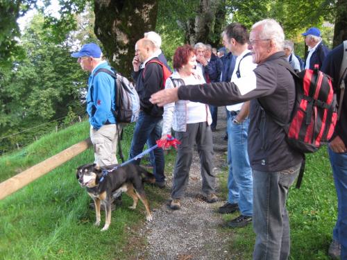 Herbstwanderung-Zugerberg  15