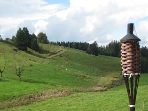 Herbstwanderung-Zugerberg  52