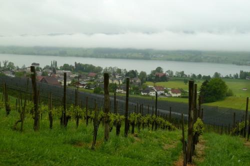 Leiterausflug-2016-07
