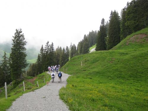 2016-Stammausflug-10