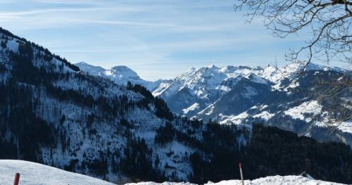 Schneeschuhlaufen-2017-21