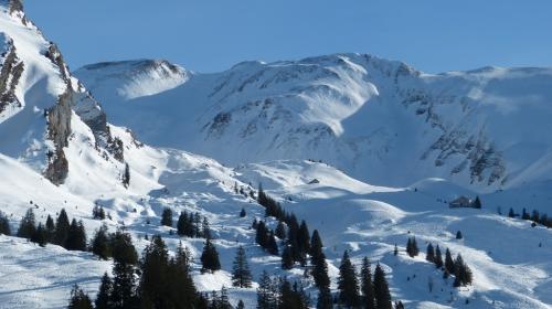 Schneeschuhlaufen-2017-26