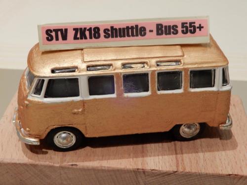 2018-STV-ZK (12)