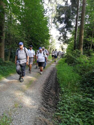 2020-Herbstwanderung-03