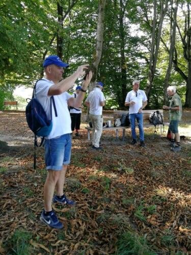 2020-Herbstwanderung-12