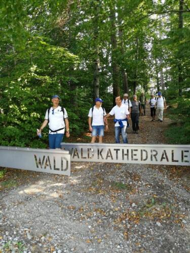 2020-Herbstwanderung-13