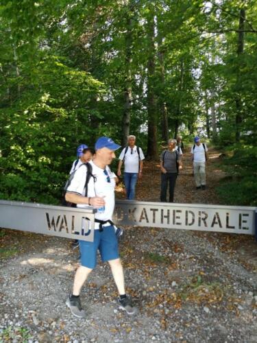2020-Herbstwanderung-14