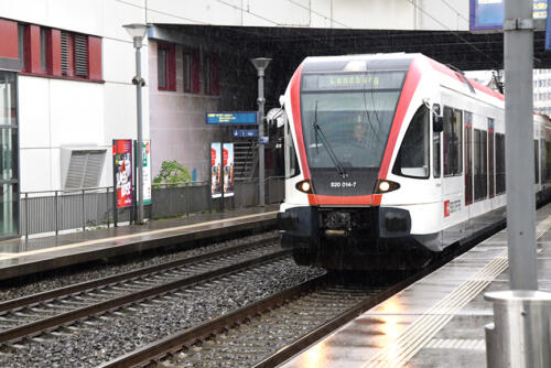 2020-Fuchsjagd-06