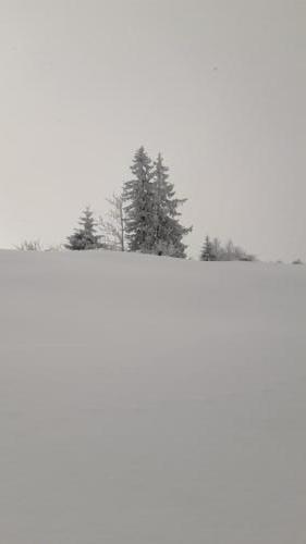 2021-02-Schneeschuh-06