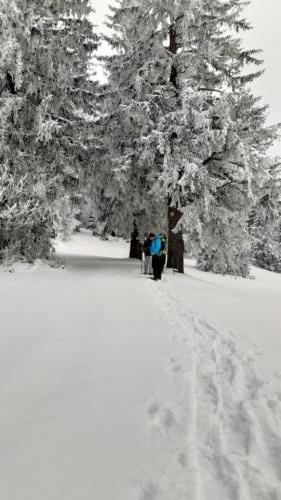 2021-02-Schneeschuh-07