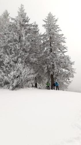 2021-02-Schneeschuh-09