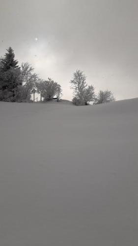 2021-02-Schneeschuh-24