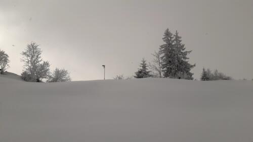 2021-02-Schneeschuh-25