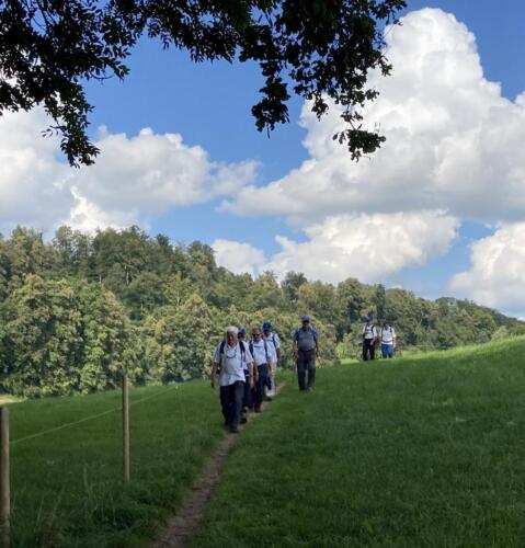 11-Dem-Ziel-entgegen