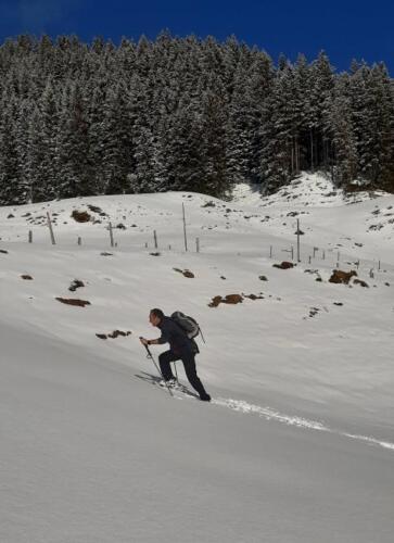 2022-02-Schneeschuh-14-Kopie