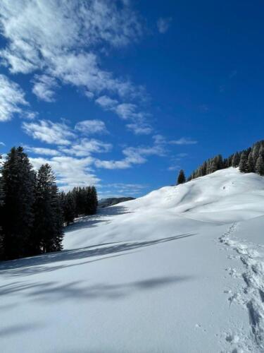 2022-02-Schneeschuh-21
