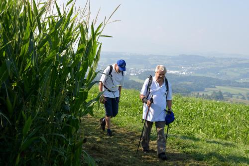 Herbstwanderung-23-007