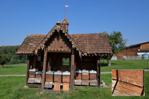 Herbstwanderung-23-013