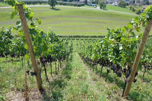 Herbstwanderung-23-025