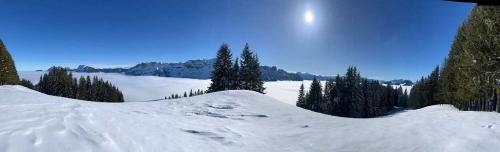 2025-01-Schneeschuh-17