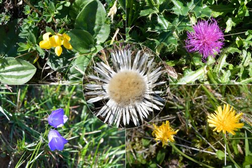 Herbstwanderung-24